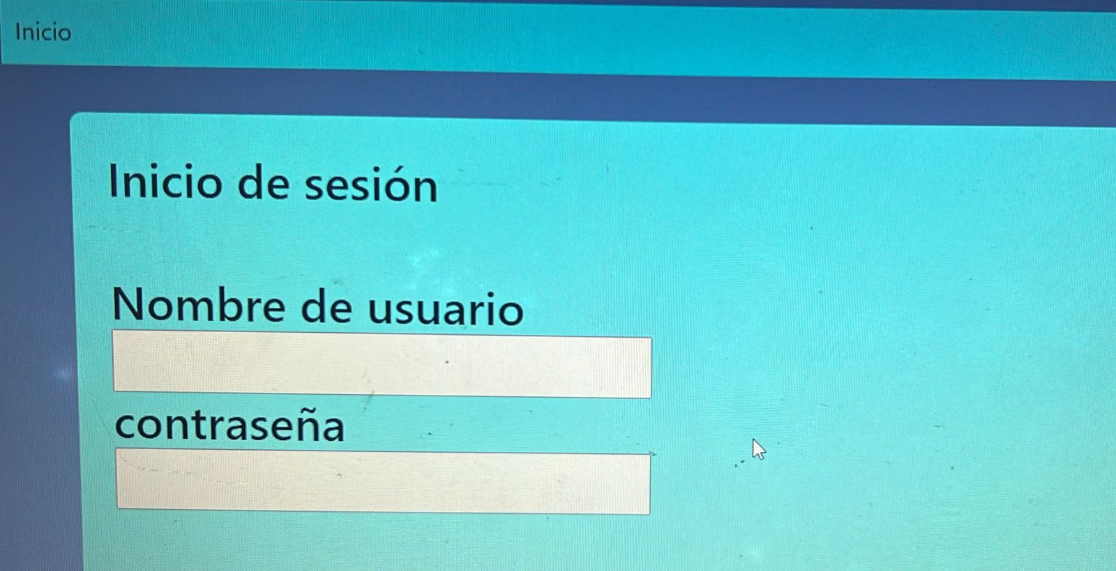 Descripción del Proyecto 1